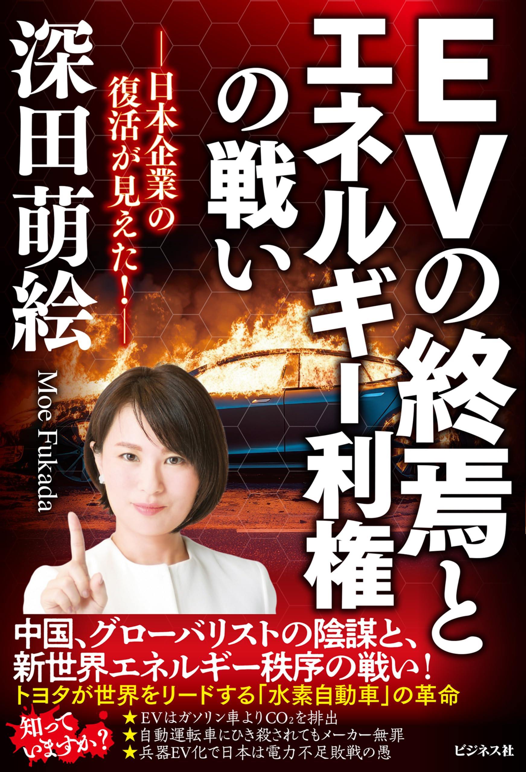 Amazon.co.jp: 深田 萌絵: 本、バイオグラフィー、最新アップデート